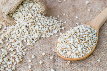 Job's tear seed dried wooden spoon