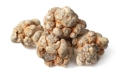 Dried herb, notoginseng roots isolated on white background