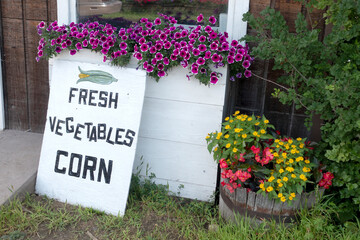 Sign at the vegetable hut advertising available  vegetables decorated with dazzling purple petunias. Battle Lake Minnesota MN USA