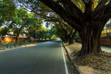 Roads of Chandigarh in the Morning