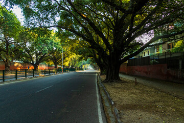 Roads of Chandigarh in the Morning