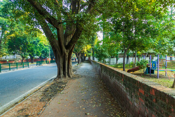 Roads of Chandigarh in the Morning