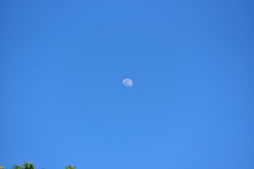 moon in the sky