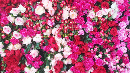 Colorful rose background for clear text and wallpaper.
