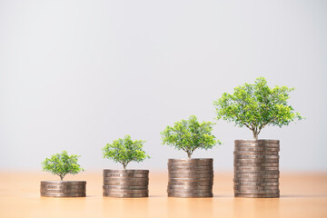 Growing trees on increasing coins stacking for growth money saving and business profit investment concept.