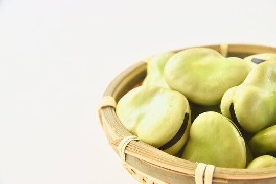 空豆 Images Browse 1 467 Stock Photos Vectors And Video Adobe Stock