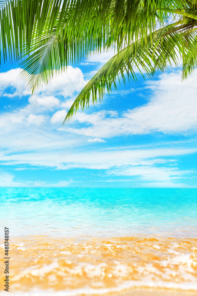 Wall mural tropical island paradise beach nature, blue sea wave, ocean water, green coconut palm tree leaves, y