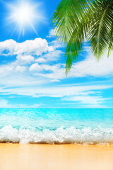 Tropical island paradise beach nature, blue sea wave, ocean water, green coconut palm tree leaves, yellow sand, sun, sky, white clouds, beautiful caribbean landscape, summer holidays, vacation, travel