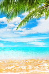 Tropical island paradise beach nature, blue sea wave, ocean water, green coconut palm tree leaves, yellow sand, sun, sky, white clouds, beautiful caribbean landscape, summer holidays, vacation, travel