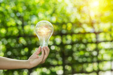 Light bulbs that grow, in the concept of energy in nature.