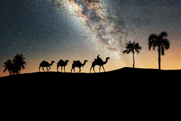 Camel caravan moving in the Sahara desert at night - obrazy, fototapety, plakaty