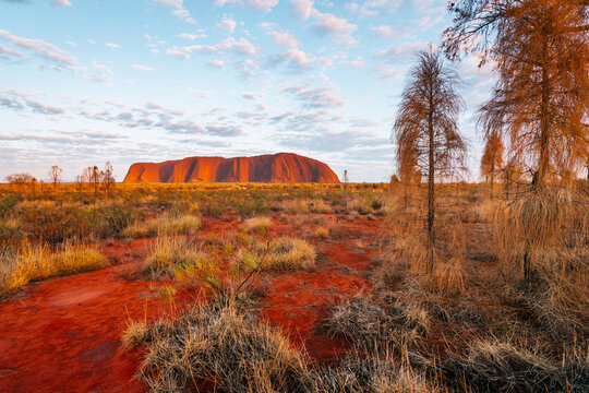 Sunrise over Uluru located in the Uluru Kata-Tjuta National Park in the Northern Territory, Australia.