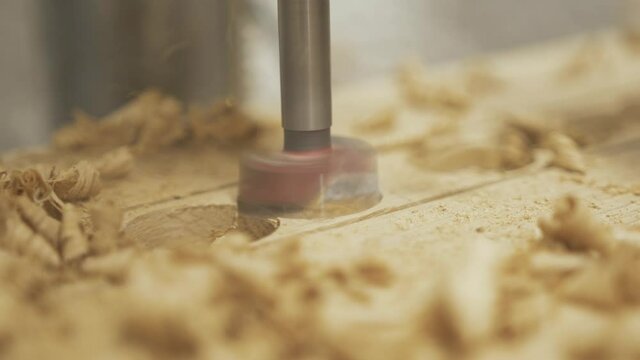 Close-up pillar drillbit cutting holes in white oak timber. Rack Focus