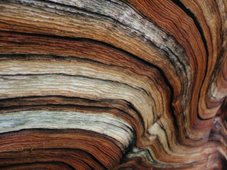 Fototapeta premium Woodgrain wave 