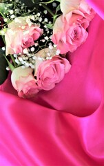 Light pink roses on a bright pink background. The bride's bouquet, a festive floral arrangement. Background for a greeting card.