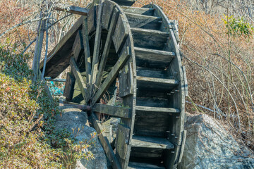 Old dilapidated wooden waterwheel in countryside among overgrown bushes and weeds.