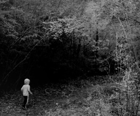 Young boy entering the woods alone