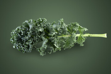 Fresh green leaves of Kale. Green vegetable leaves on green background