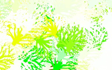 Fototapeta na wymiar Light Green, Yellow vector doodle template with leaves, branches.
