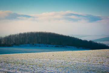 Nebel über Feld und Wald bei Eisleben in Mansfeld-Südharz