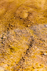 clear water and green mud on the rocks in bottom of river