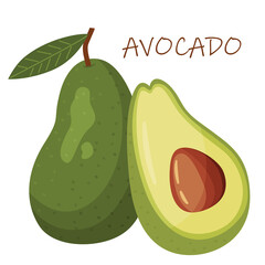 vector avocados illustration. Whole and cut avocado isolated on white background.