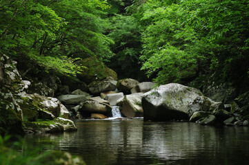 木曽川水系の渓流
