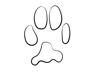 Realistic red cat paw pet cute. Hand drawing. Vector illustration .