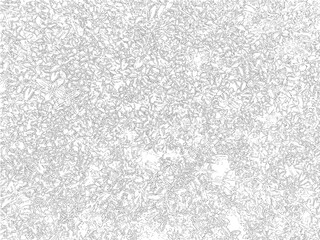 小さな植物が描かれた線画イメージ