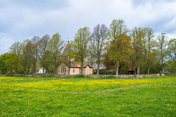 Blooming meadow by a country church