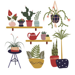 Vector set of house plants