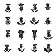 Fototapeta na wymiar Thistle icons set simple vector. Scottish flower