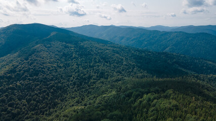 Mountains forest from a height landscape