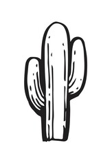 Large prickly cactus. An exotic southern plant from the desert. Outline sketch. Hand drawing is isolated on a white background. Vector