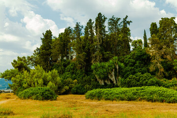Obraz premium Corfu seascape, Mouse island