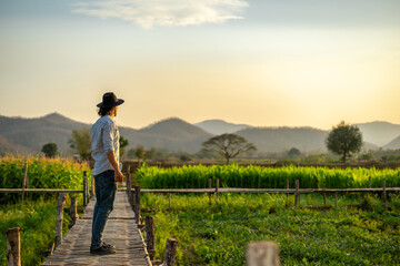 Rear view of a confident young handsome man and a hat while traveling with glad positive expression in Asia. Attractive male in harmony with the field nature sunset or sunrise and mountain landscape