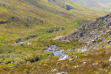 Fototapeta na wymiar Mountains in the Kogelberg Nature Reserve with Palmiet River in the Western Cape of South Africa