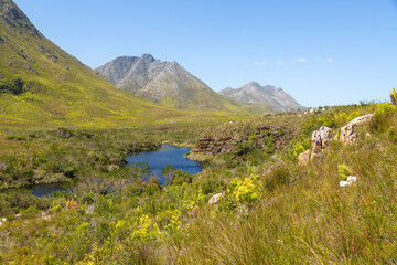 The Kogelberg Nature Reserve with the Palmiet River, Mountains and blue sky on a sunny day in the Western Cape of South Africa