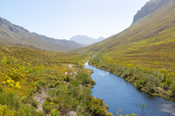 Palmiet River in the Kogelberg Nature Reserve in the Western Cape of South Africa