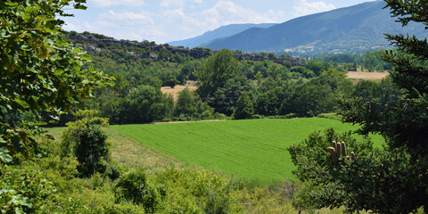 Paisaje de montaña y prados verdes de primavera.