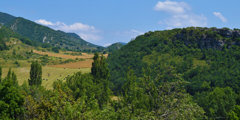 Fototapeta premium Paisaje de montaña y prados verdes de primavera.