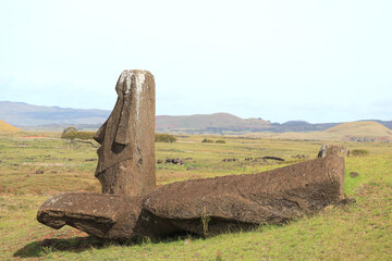 Few of numerous unfinished huge Moai statues at the foothill of Rano Raraku volcano, Easter Island of Chile, South America