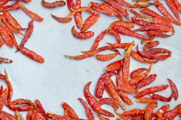 In selective focus a group of dried red Thai Chili drying to the sun on a silver sheet in outdoor