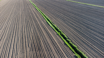 ploughed field