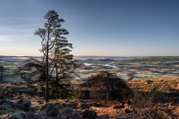 Fototapeta na wymiar Panoramic view of Tittesworth Reservoir from The Roaches, with the Long Mynd, and The Wrekin in the distance at sunrise in the Peak District National Park, UK.
