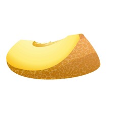Melon slice icon cartoon vector. Oriental cut
