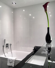 Modern design bathroom with sink, bathtub, towels and mirror and mosaic tiles in cabin or stateroom...