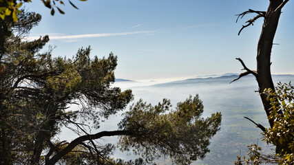 Umbrian landscape with fog