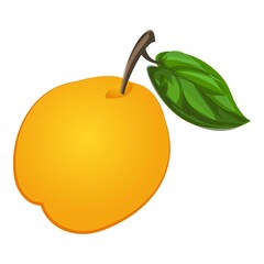 Whole apricot icon cartoon vector. Tree peach