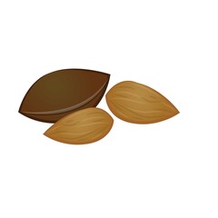 Peach seed icon cartoon vector. Apricot fruit